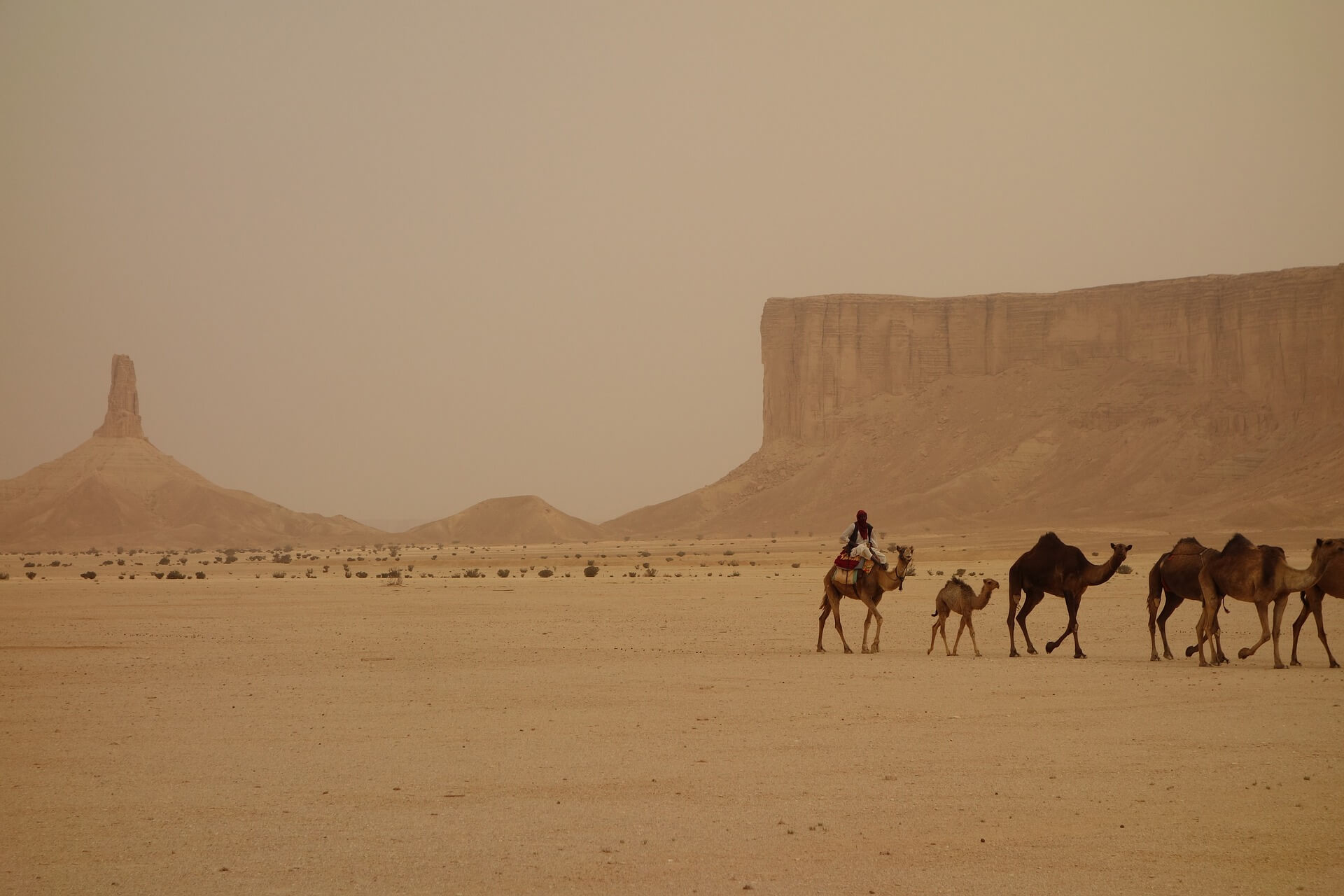 قاموس العامية الخليجية